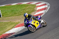 brands-hatch-photographs;brands-no-limits-trackday;cadwell-trackday-photographs;enduro-digital-images;event-digital-images;eventdigitalimages;no-limits-trackdays;peter-wileman-photography;racing-digital-images;trackday-digital-images;trackday-photos